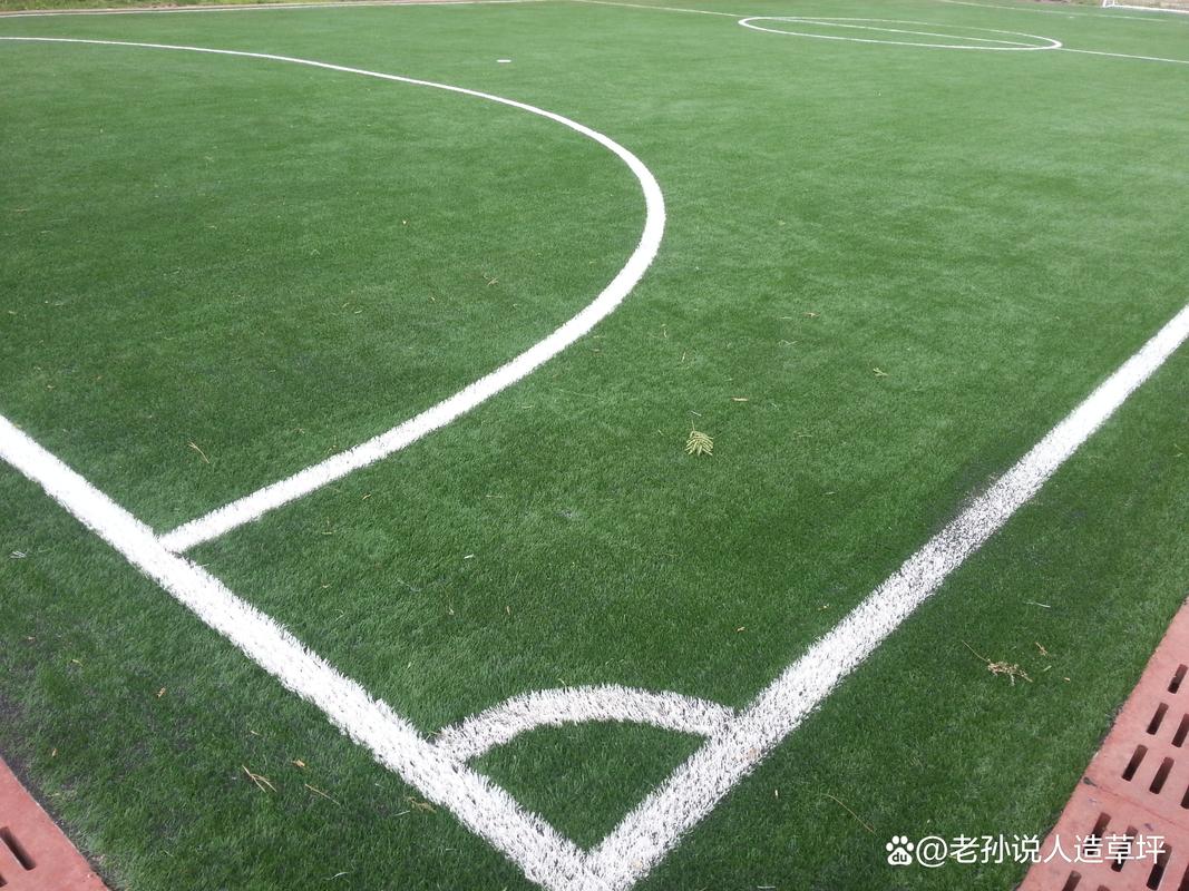 萨内蒂：客战博德闪耀要做好保暖，人造草皮场地也不容忽视